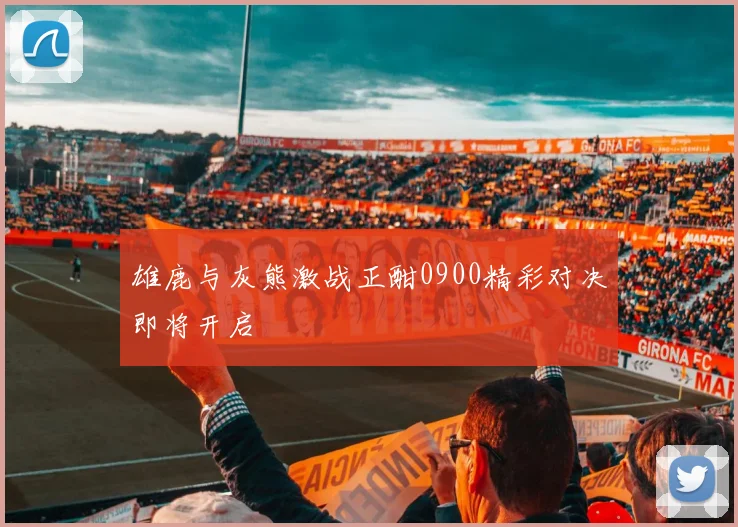 雄鹿与灰熊激战正酣0900精彩对决即将开启